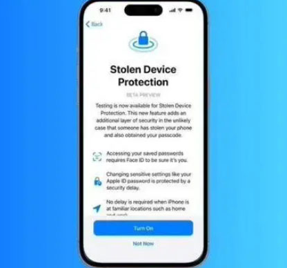 邓州苹果授权维修店分享被盗设备保护功能开启方法