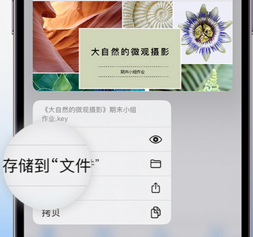 邓州apple维修中心分享iPhone文件应用中存储和找到下载文件