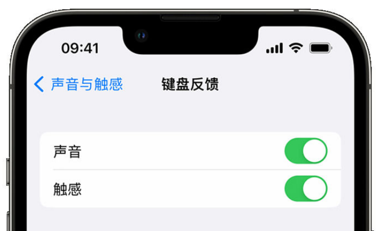 邓州苹果手机维修分享iPhone 14触感键盘使用方法 