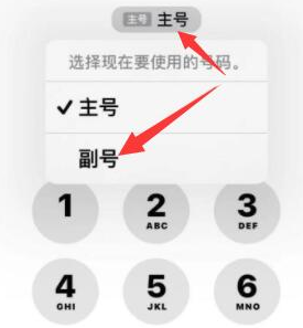 邓州苹果14维修店分享iPhone 14 Pro Max使用副卡打电话的方法 