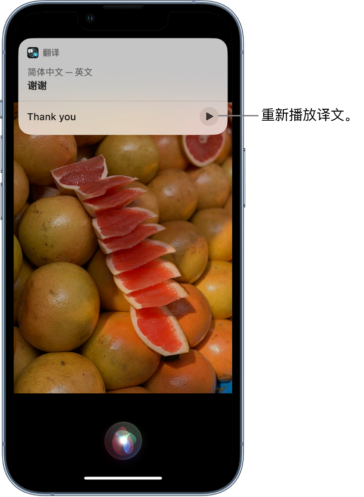 邓州苹果14维修分享 iPhone 14 机型中使用 Siri：了解 Siri 能帮你做什么 