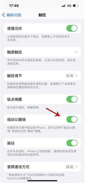 邓州苹果手机维修分享iPhone手机如何设置摇一摇删除文字 