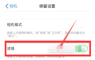 邓州苹果13维修分享iPhone13拍照有绿点是怎么回事 