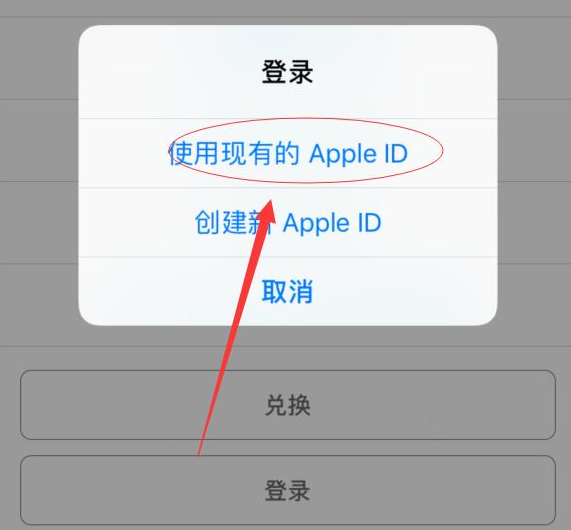 邓州苹果手机维修分享两台iPhone设备可以同时登录一个Apple ID吗 