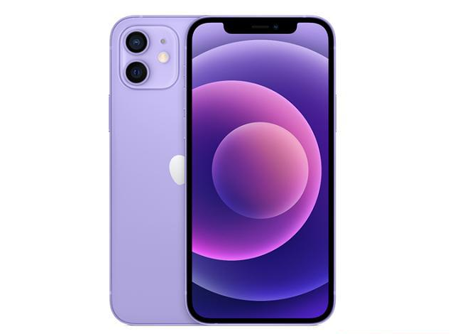 邓州苹果手机维修分享现阶段要不要入手紫色版iPhone12 