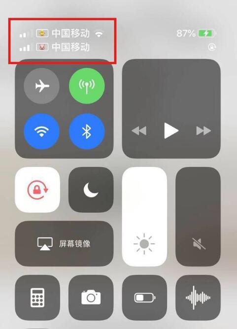 邓州苹果手机维修分享为 iPhone 12 双卡设置标签 